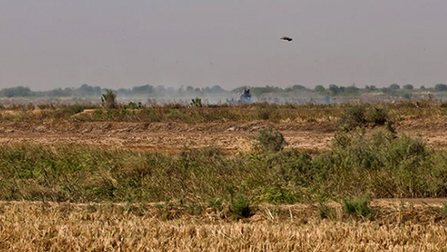 Мавритания: достопримечательности и популярные места