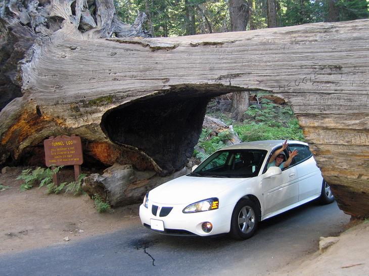 Национальные парки США: ТОП-10