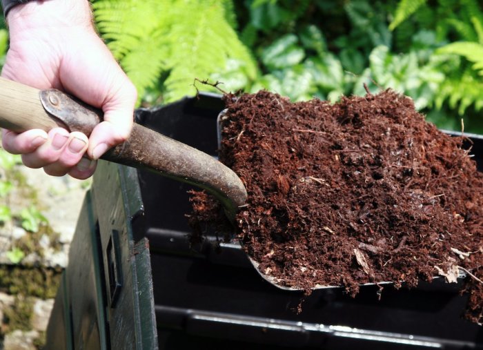 Неординарные способы использования вина, которые пригодятся в быту