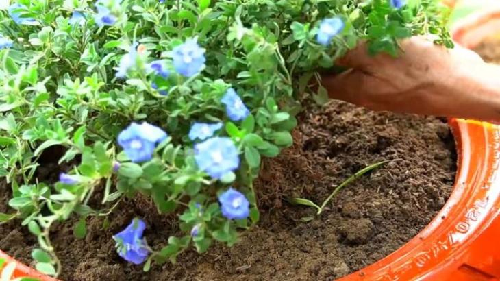 Оригинальная идея для сада из покрышек и досок