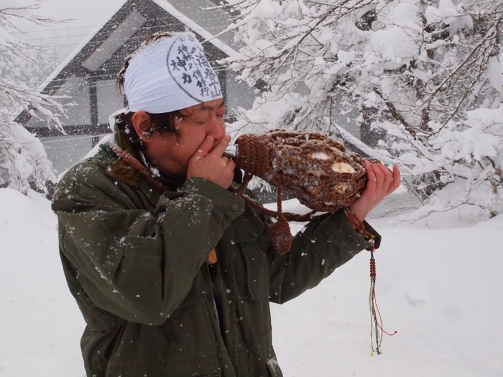 Рог тритона: смертоносная ракушка из серванта