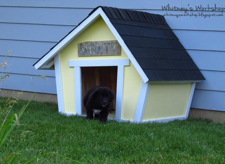 Строим будку для собаки: 10 пошаговых инструкций на фото