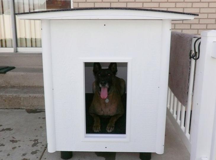 Строим будку для собаки: 10 пошаговых инструкций на фото