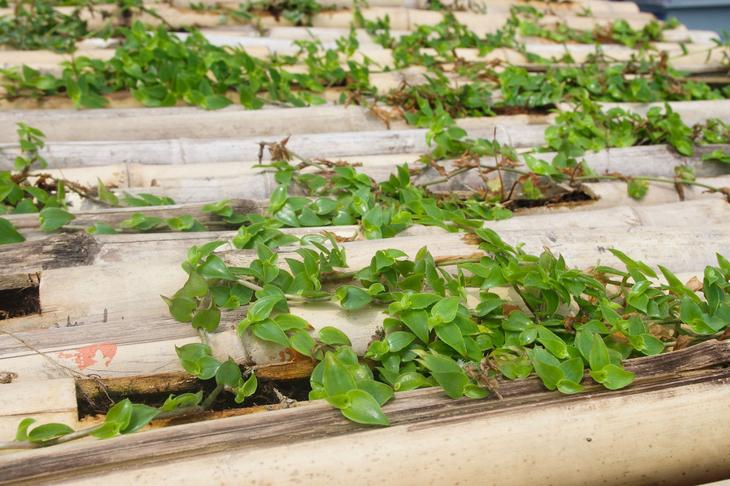 Строим будку для собаки: 10 пошаговых инструкций на фото