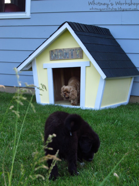 Строим будку для собаки: 10 пошаговых инструкций на фото