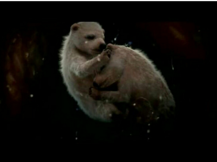 Так зарождается жизнь: потрясающие фотографии разных существ до их появления на свет