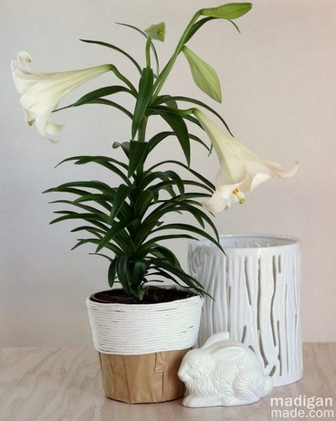 Украшаем скучные цветочные горшки: из джута, шпагата и веревки