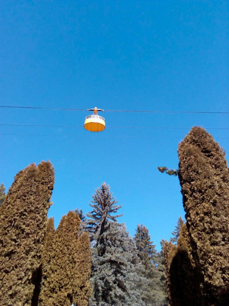 «Даже страшно представить, что это такое»: противоречивый отзыв о Кисловодске