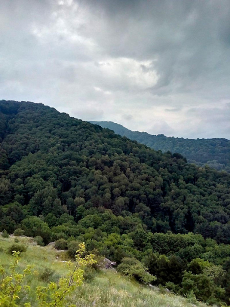 «Даже страшно представить, что это такое»: противоречивый отзыв о Кисловодске