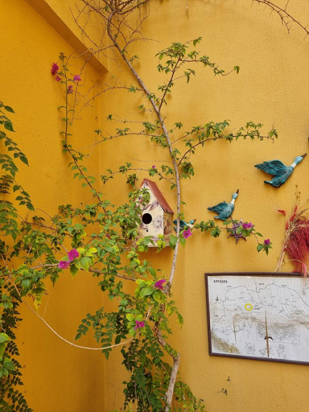 «Не для избалованного туриста»: отзыв о «двушке» в Анталии за 62 тысячи