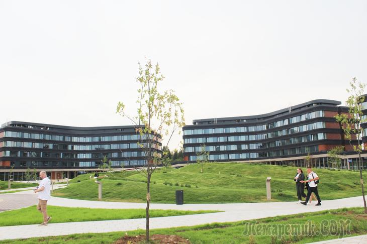 Даешь молодежь!