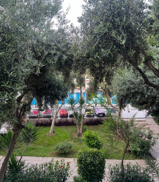 «Даже бездомную собачку неловко этим кормить»: разгромный отзыв об Аланье