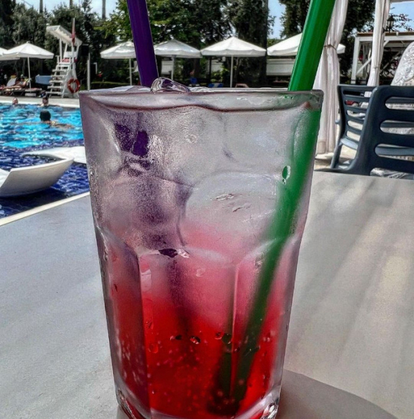 «Даже бездомную собачку неловко этим кормить»: разгромный отзыв об Аланье