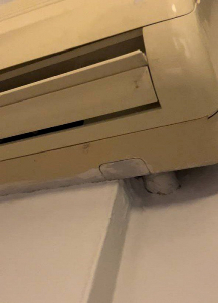 «Даже бездомную собачку неловко этим кормить»: разгромный отзыв об Аланье