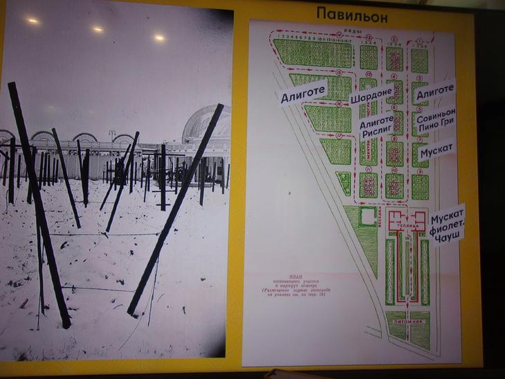 ГЛАВКНИГА О ГЛАВЕДЕ НА ГЛАВВЫСТАВКЕ