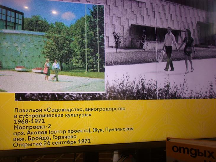 ГЛАВКНИГА О ГЛАВЕДЕ НА ГЛАВВЫСТАВКЕ