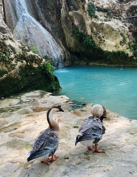«Пожелал нам самого худшего отдыха»: разгромный отзыв об Аланье