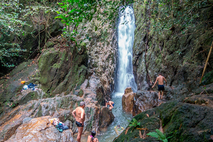 Туристов на Пхукете приглашают позаботиться о природе