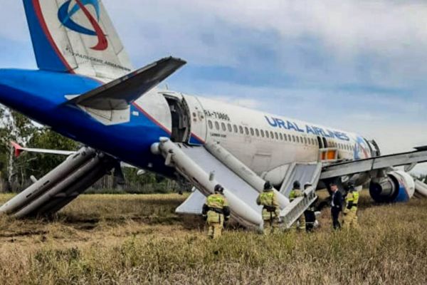 Пассажирский A320 совершил посадку в поле в Новосибирской области