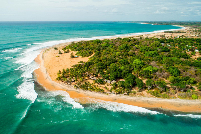 Чай, киты и леопарды: Шри-Ланка готовится к новому туристическому сезону