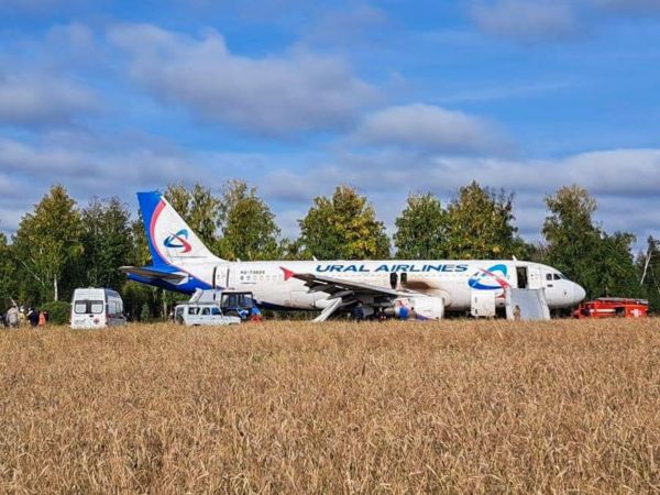 Пассажирский A320 совершил посадку в поле в Новосибирской области