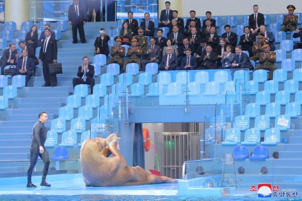 Ким Чен Ын завершил недельный визит в Россию. Он получил в подарок военные дроны и посетил океанариум