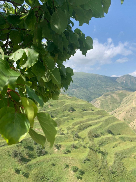«Все включено! В том числе экстрим»: противоречивый отзыв о Дагестане