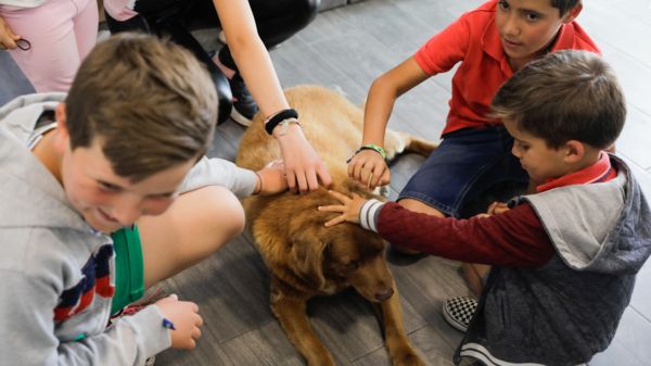 Умер самый старый пес на Земле: Боби был 31 год