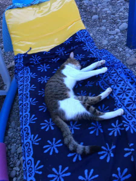 «Меня не хотели регистрировать на рейс без осмотра врача»: противоречивый отзыв о Кемере