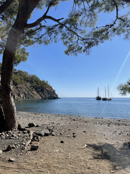 «Меня не хотели регистрировать на рейс без осмотра врача»: противоречивый отзыв о Кемере