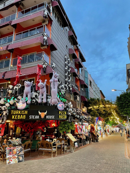 Номер с видом на мусорку, очереди за едой и теснота в море: противоречивый отзыв об Аланье