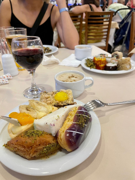 Номер с видом на мусорку, очереди за едой и теснота в море: противоречивый отзыв об Аланье