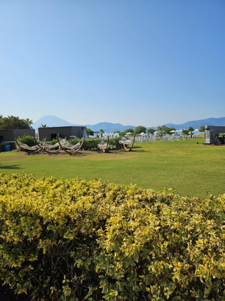 «Отдохнуть по-хорошему не помогли ни круглая сумма, ни отзывы»: гневный отзыв о Фетхие