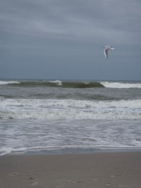 «Запах глинтвейна вас будет преследовать всю прогулку»: отзыв о Калининградской области