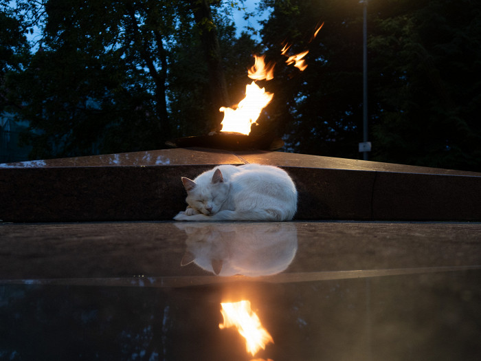 «Запах глинтвейна вас будет преследовать всю прогулку»: отзыв о Калининградской области