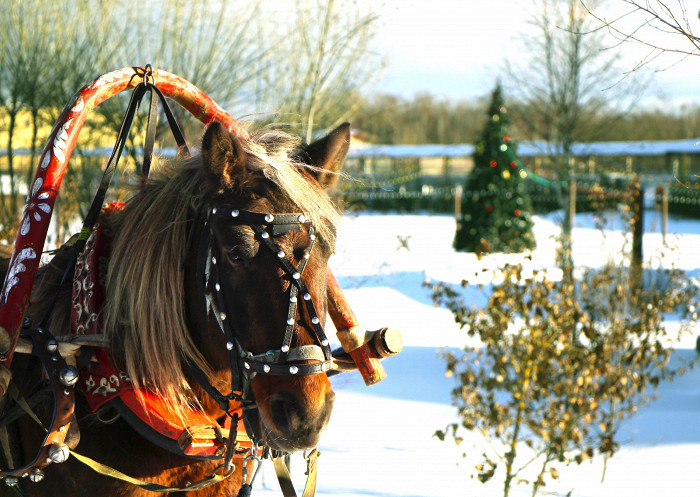 До конца праздников в Этномире можно будет познакомиться с новогодними традициями разных народов мира