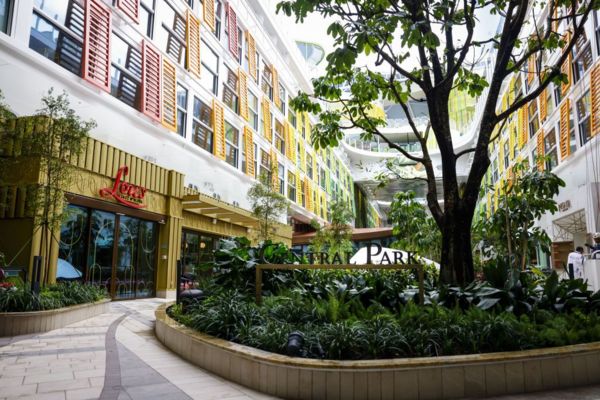 «Икона морей». Самый большой в мире лайнер отправился в первый круиз. Как он выглядит и чем недовольны защитники природы