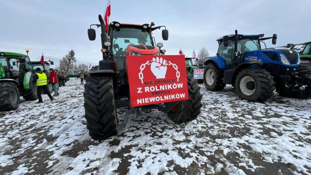 «Низость и позор». Почему польские фермеры высыпали на дорогу украинское зерно и снова заблокировали границу