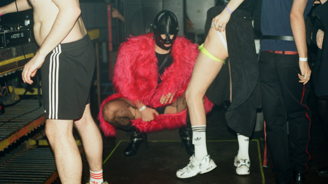 «Они приехали искать секс»: что стоит за рейдами силовиков на эротические вечеринки в России