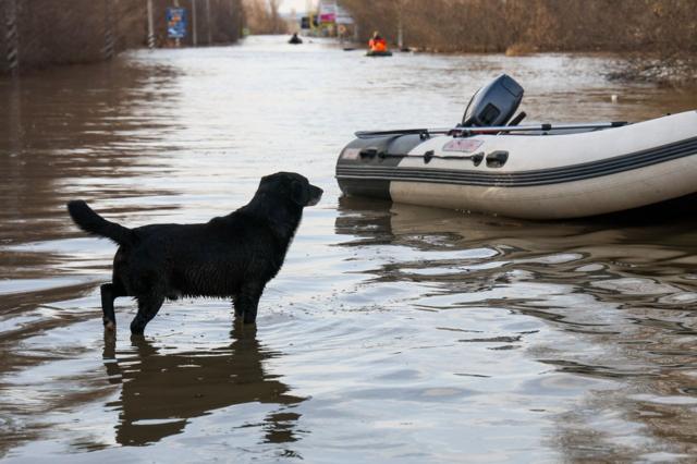 «У нас весь город — вода». Как жители Орска переживают наводнение
