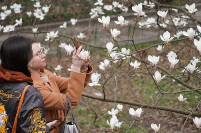 Украинцы верят в победу над Россией, но меньше поддерживают Зеленского. Социологи — о настроениях в Украине весной 2024 года