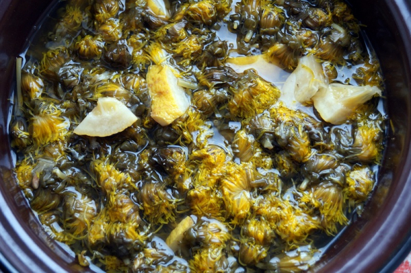 Самое многофункциональное лекарственное растение — одуванчик! Ты будешь удивлена.