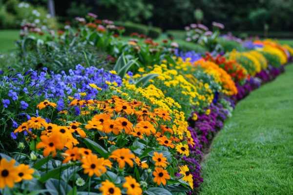Преобразите свой сад! Создаем красивые клумбы своими руками