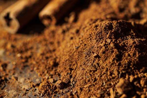 Корица — польза и вред для здоровья, рекомендуемые нормы употребления специи