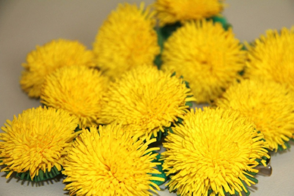 Самое многофункциональное лекарственное растение — одуванчик! Ты будешь удивлена.