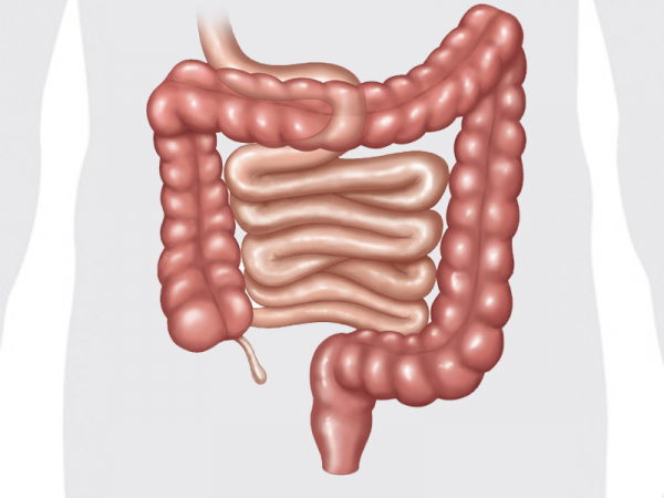 Жидкая бомба с эффектом 3-дневного голодания! Избавься от токсинов, головных болей и усталости. Чувствую себя перышком. Жидкая бомба с эффектом 3-дневного голодания! Избавься от токсинов, головных болей и усталости. Чувствую себя перышком.