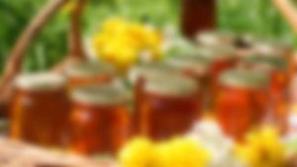 Сладкая жизнь: как правильно выбрать мед