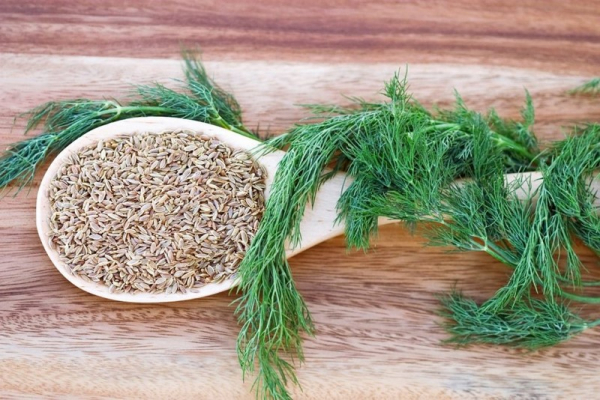 Пей ароматный отвар трижды в день, и через 4 недели ты забудешь о скачках давления Пей ароматный отвар трижды в день, и через 4 недели ты забудешь о скачках давления