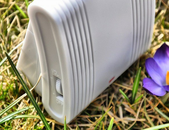 9 советов, которые помогут избавиться от комаров в доме 9 советов, которые помогут избавиться от комаров в доме