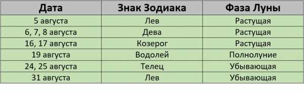Благоприятные дни для стрижки в августе 2024 года Благоприятные дни для стрижки в августе 2024 года